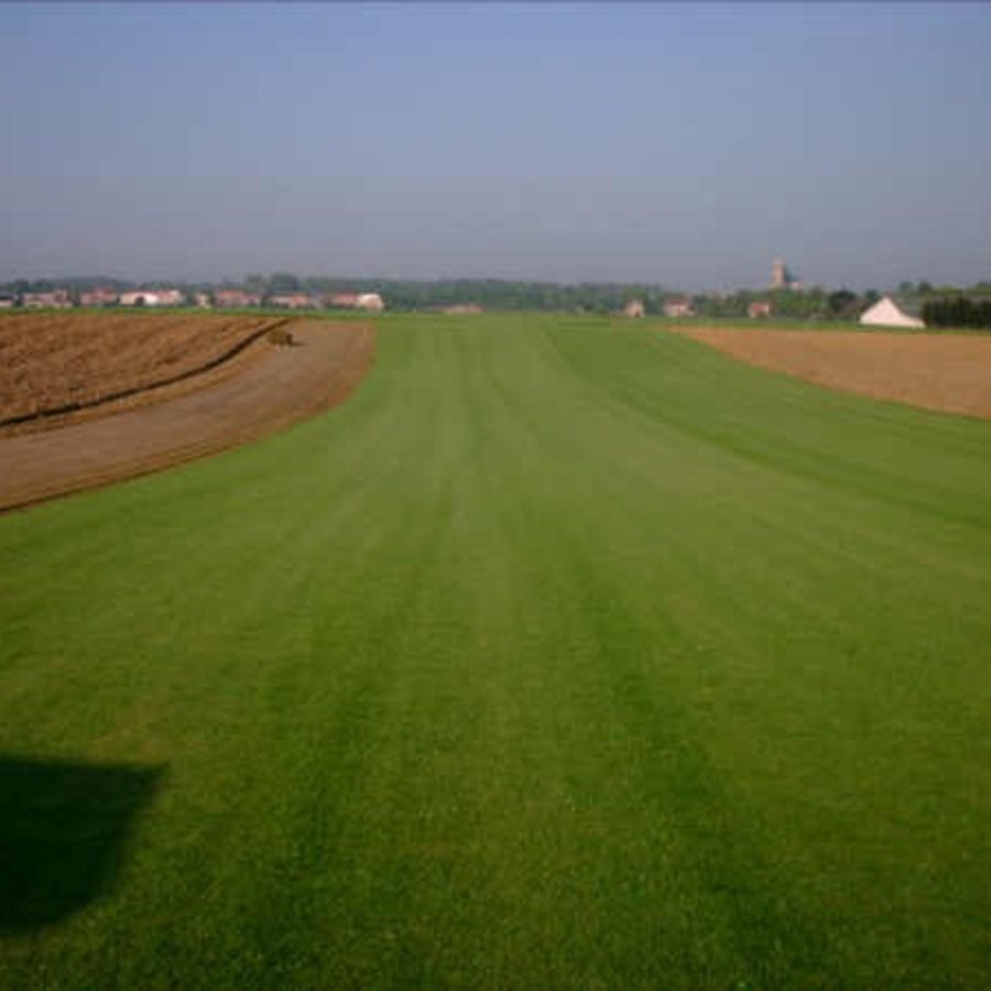 Veld in oogst